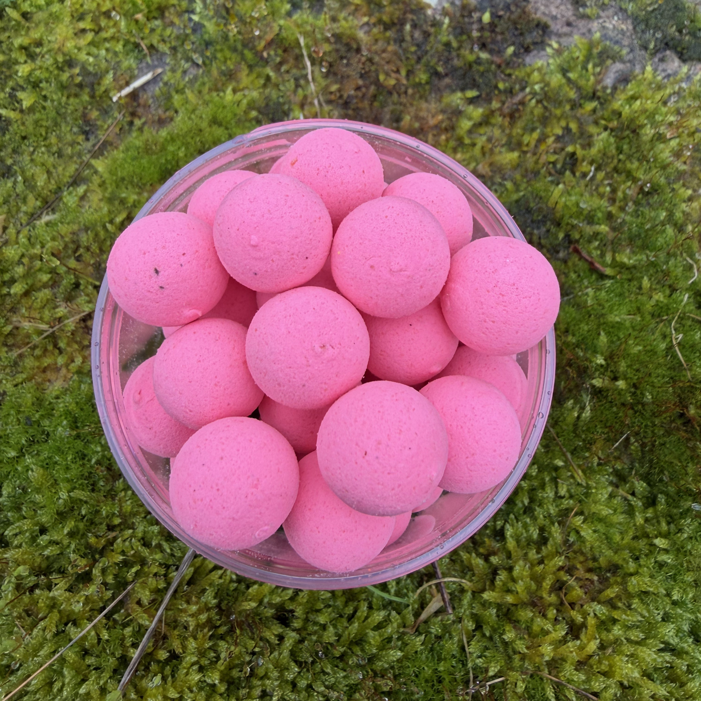 Pop-ups rose washed out thon Magnifixcarp - vue des bouillettes flottantes dans le pot