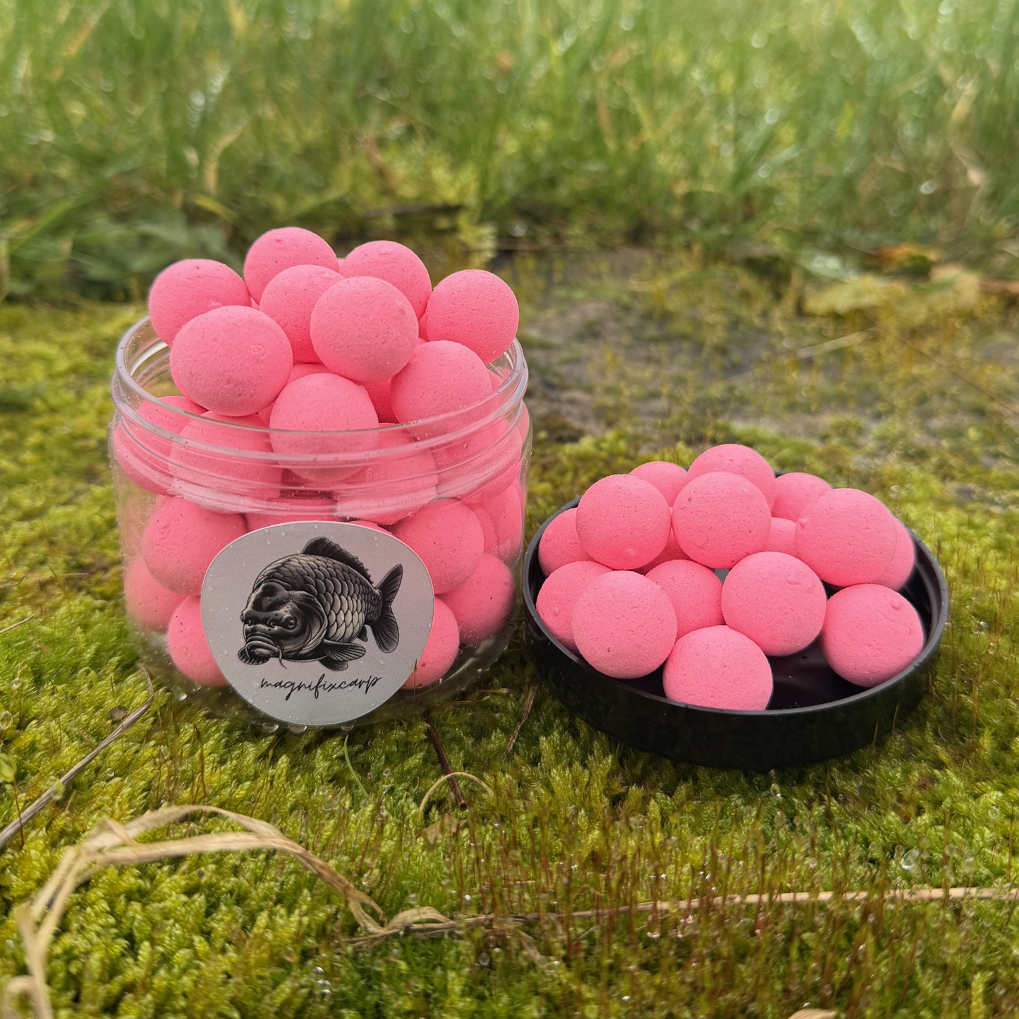 Pop-ups bouillettes flottantes rose délavé thon Magnifixcarp en situation de pêche