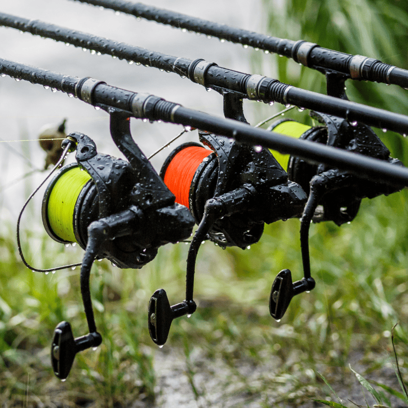 porte moulinet canne à carpe