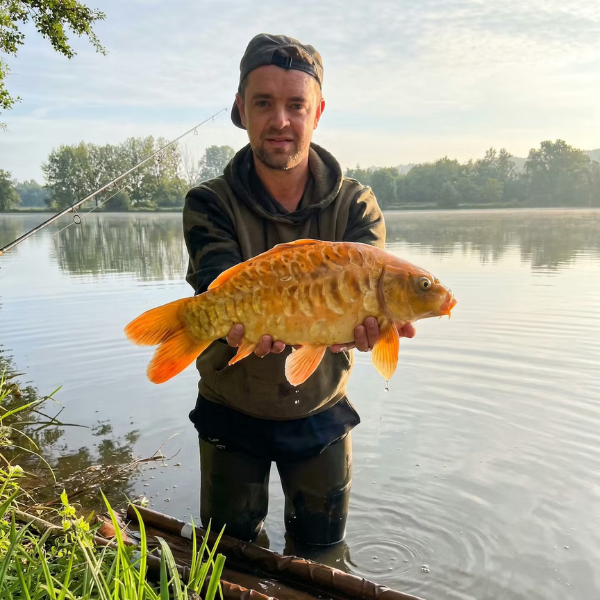Carpiste au bord de l'eau contemplant une carpe koï sur le tapis de réception