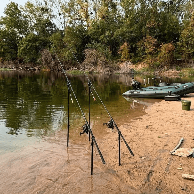 puissance canne à carpe