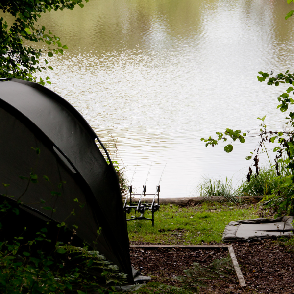 repérage spot carpe