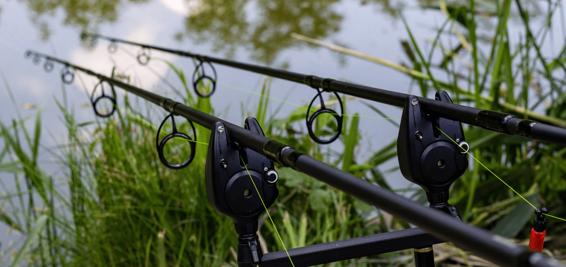 respect de la nature