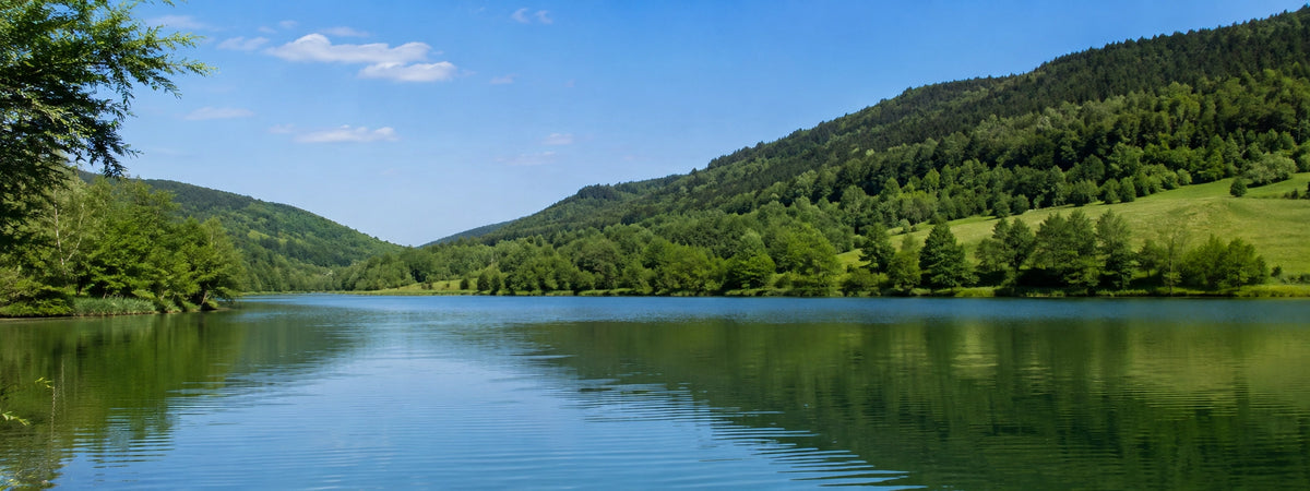 Retenue bordée de collines boisées dans l'Ain, milieu typique des parcours ouverts à la carpe