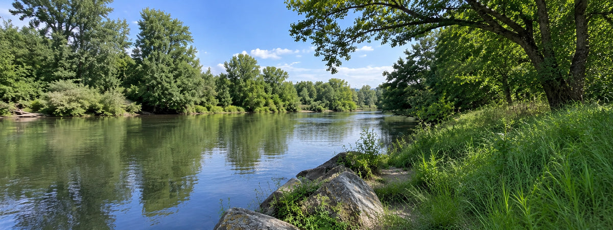 Rivière Allier bordée de rochers et de verdure, cadre de pêche à la carpe