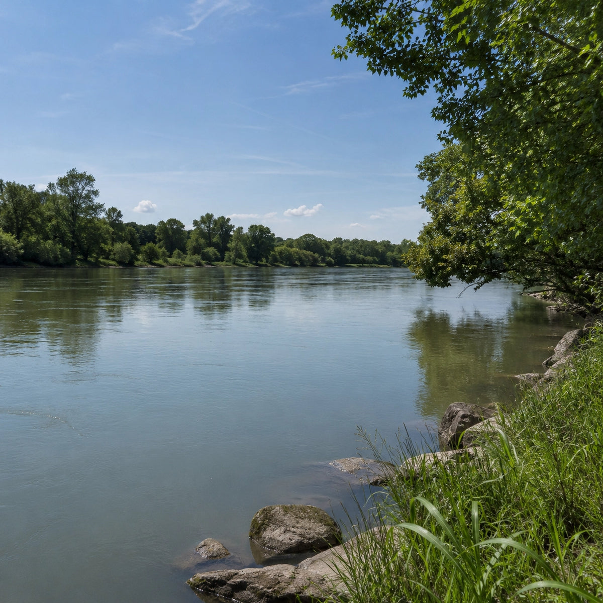 Rivière lente de Charente-Maritime aux berges enrochées, parcours carpe et carnassiers