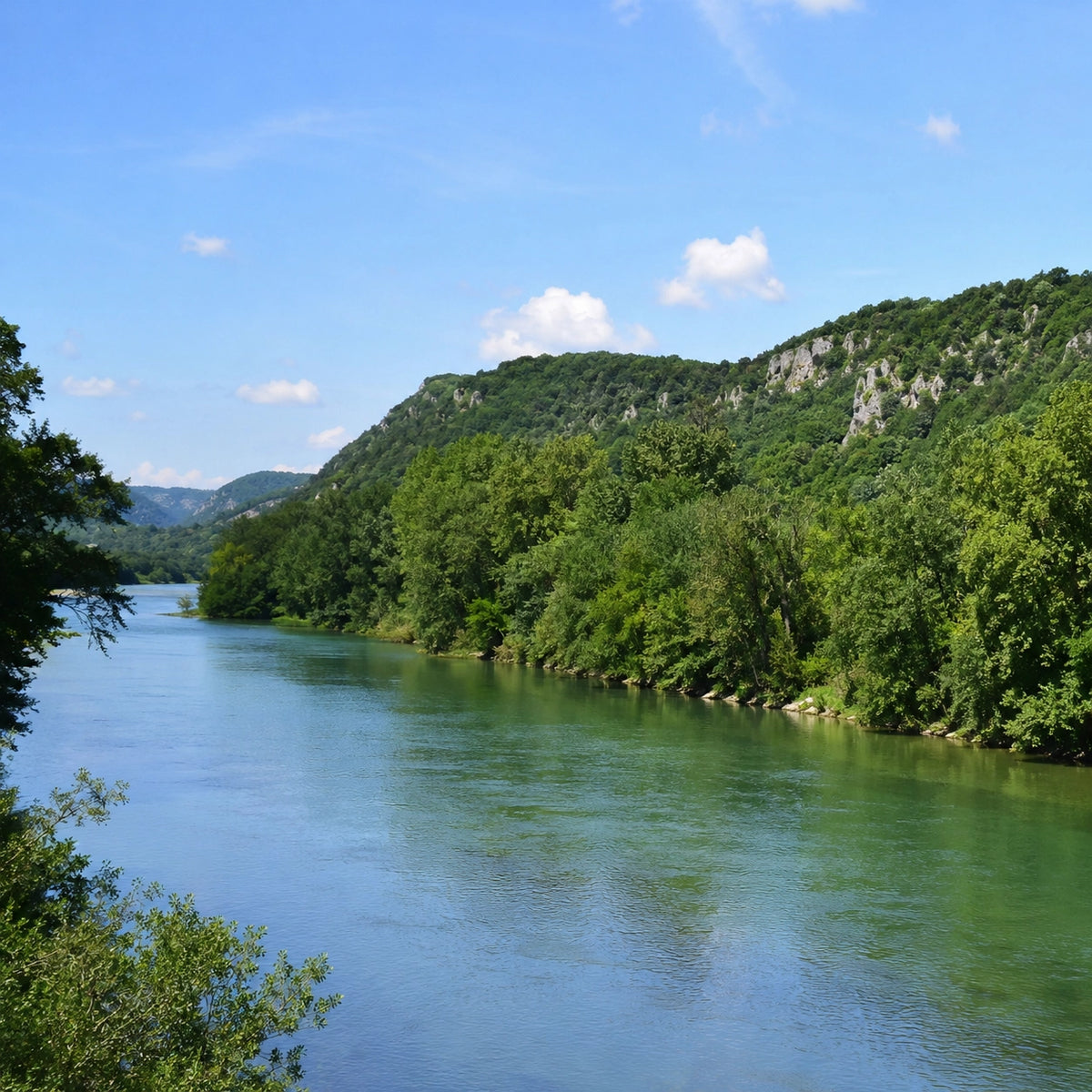 Rivière large aux eaux vertes bordée de rives boisées et de coteaux