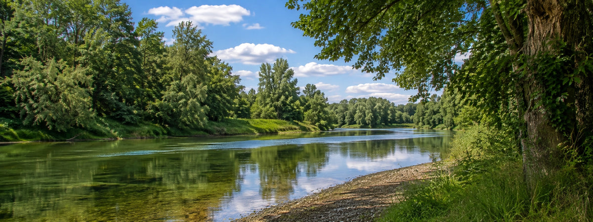 Rivière du Loir-et-Cher bordée d'arbres, cadre de pêche à la carpe