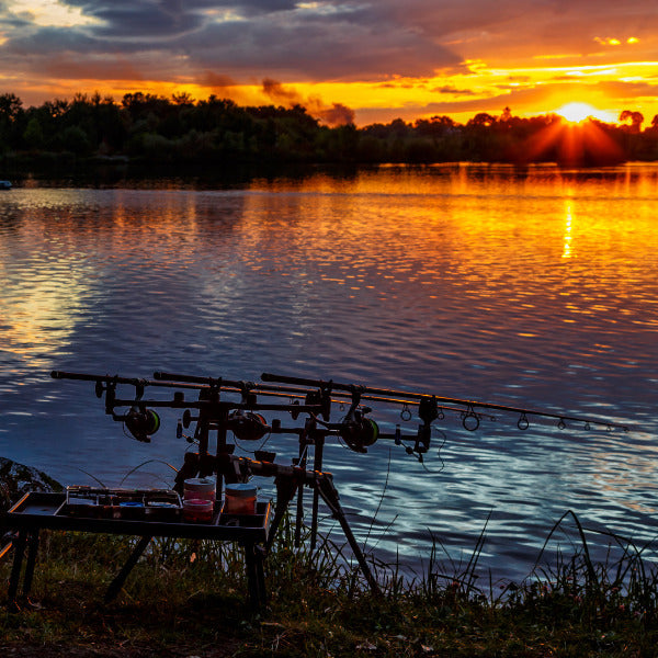 Rod pod avec trois cannes à carpe en bord de lac au coucher de soleil