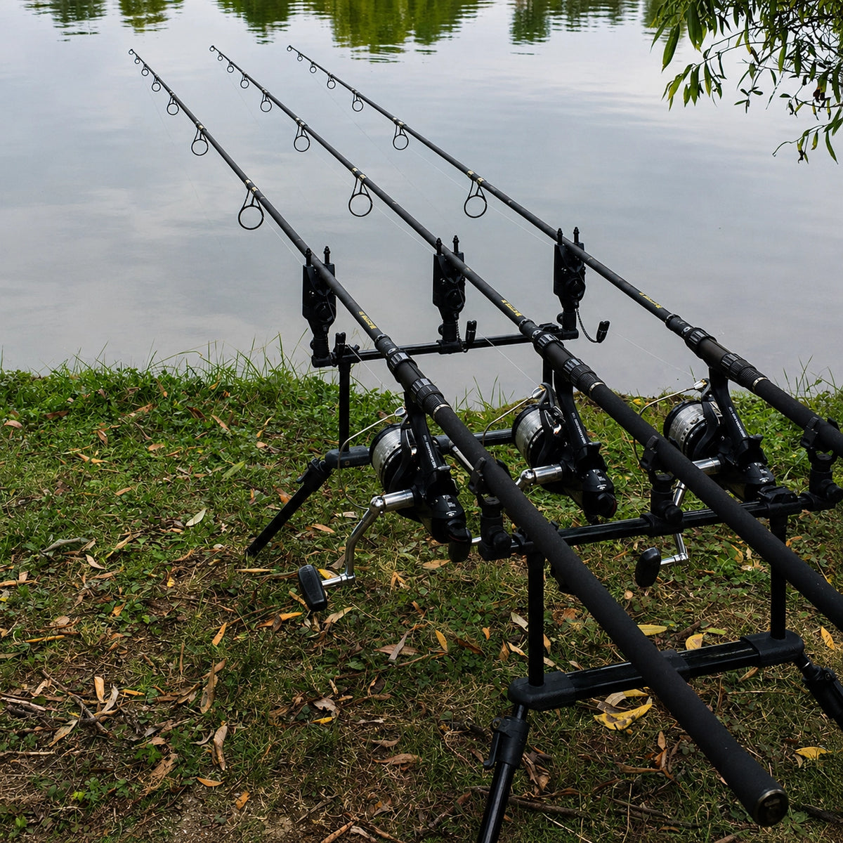 Rod pod carpe équipé de ses buzz bars, moulinets et détecteurs face au plan d'eau