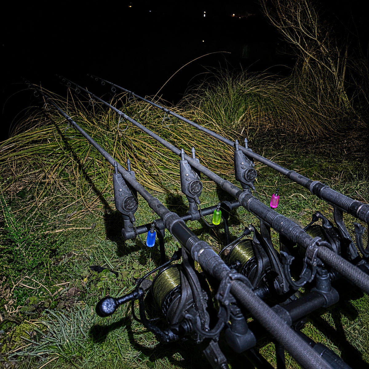 Cannes basses sur un rod pod de nuit, détecteurs lumineux allumés au bord de l'eau