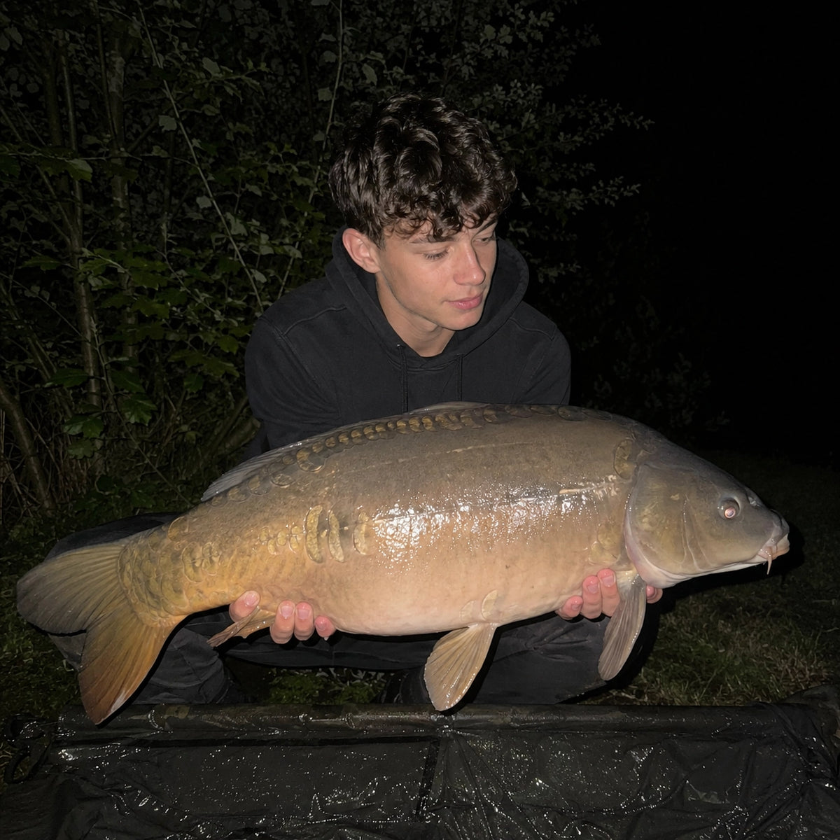 Carpe miroir prise de nuit lors d'une session carpe dans l'Eure