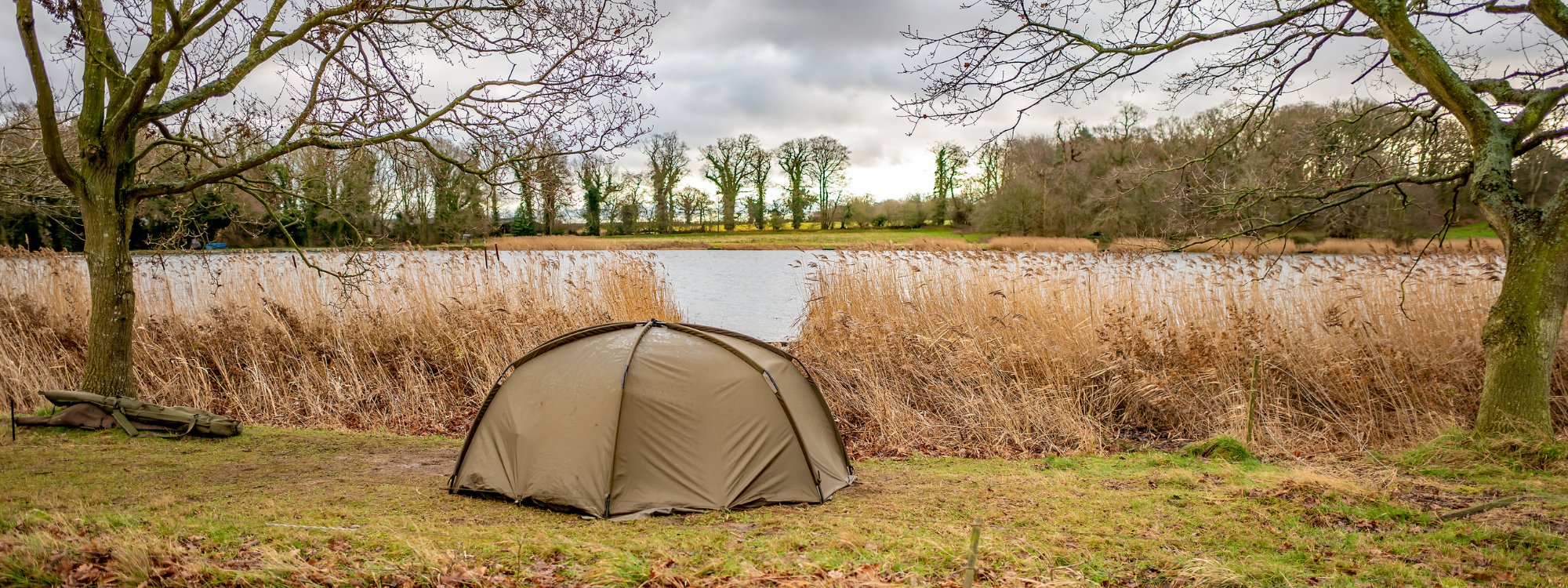 session de pêche à la carpe
