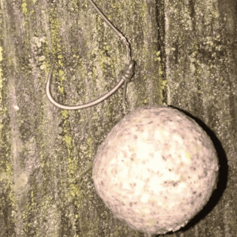 taille hamecon pour carpe