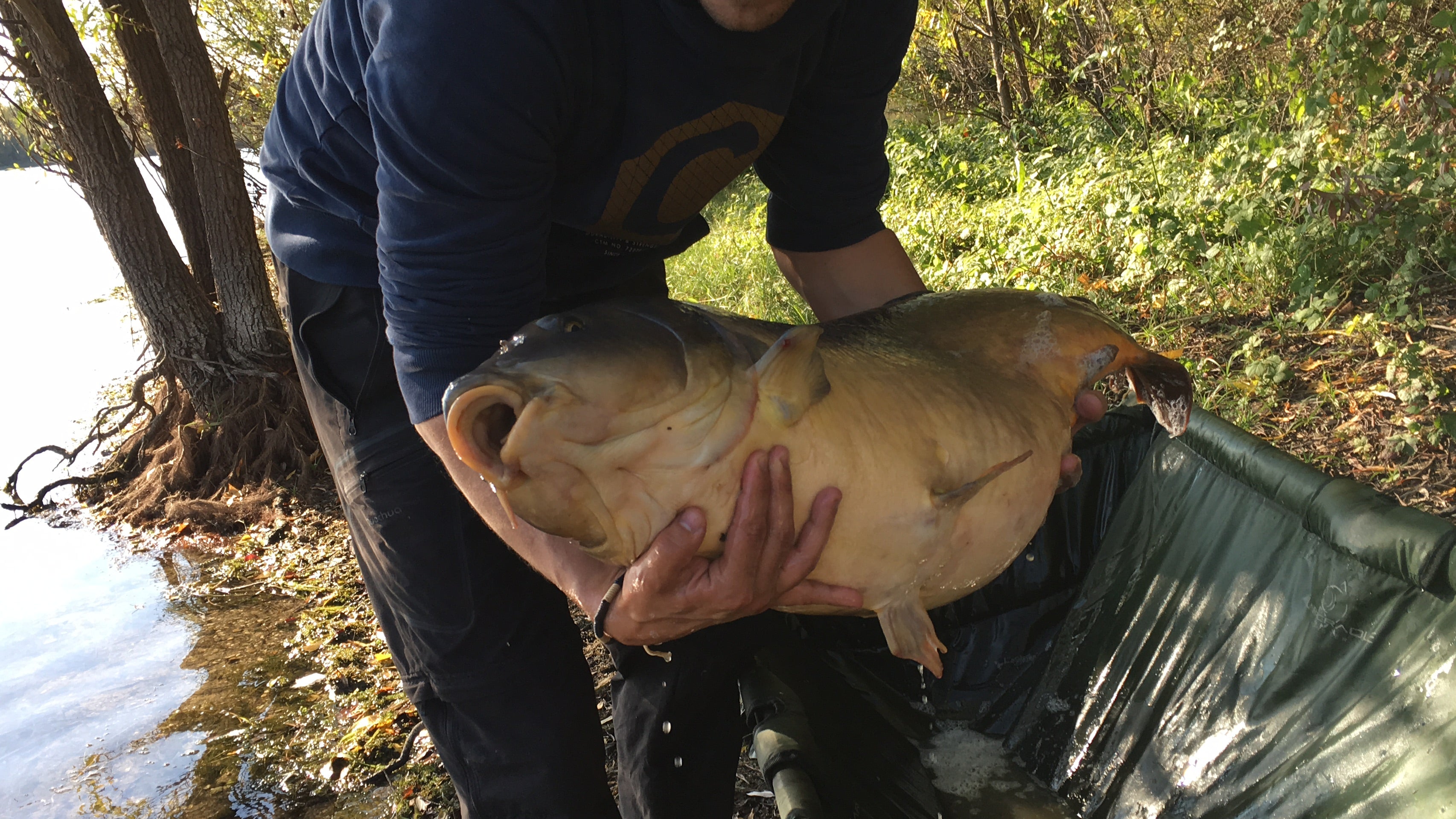 technique de pêche à la carpe