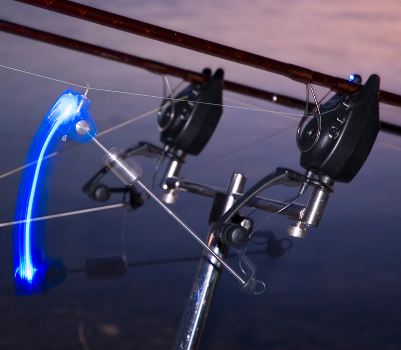 technique pêche carpe